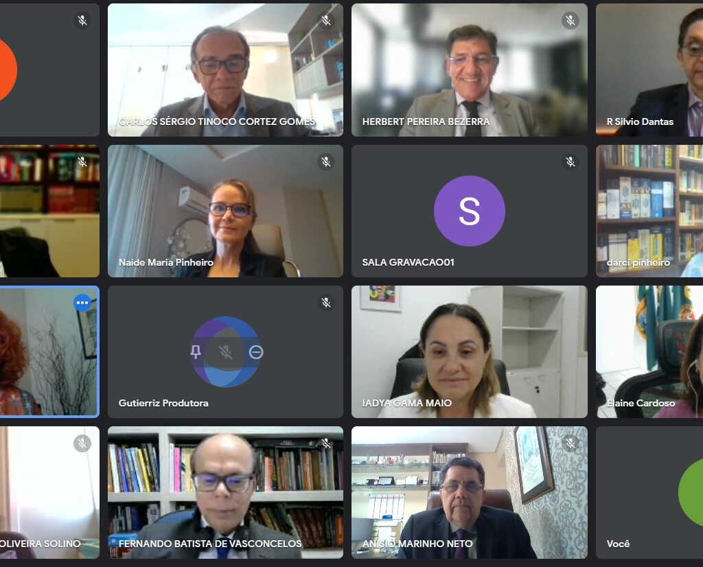 Imagem de uma sala do Google Meet, com a presença de procuradores de Justiça, da Corregedora-Geral e da Procuradora-Geral de Justiça, todos do MPRN.