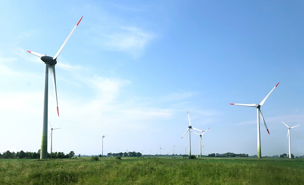 Imagem de um terreno coberto por vegetação onde há torres de captação de energia eólica