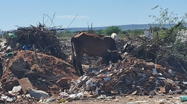 imagens da area de descarte de inertes de assu