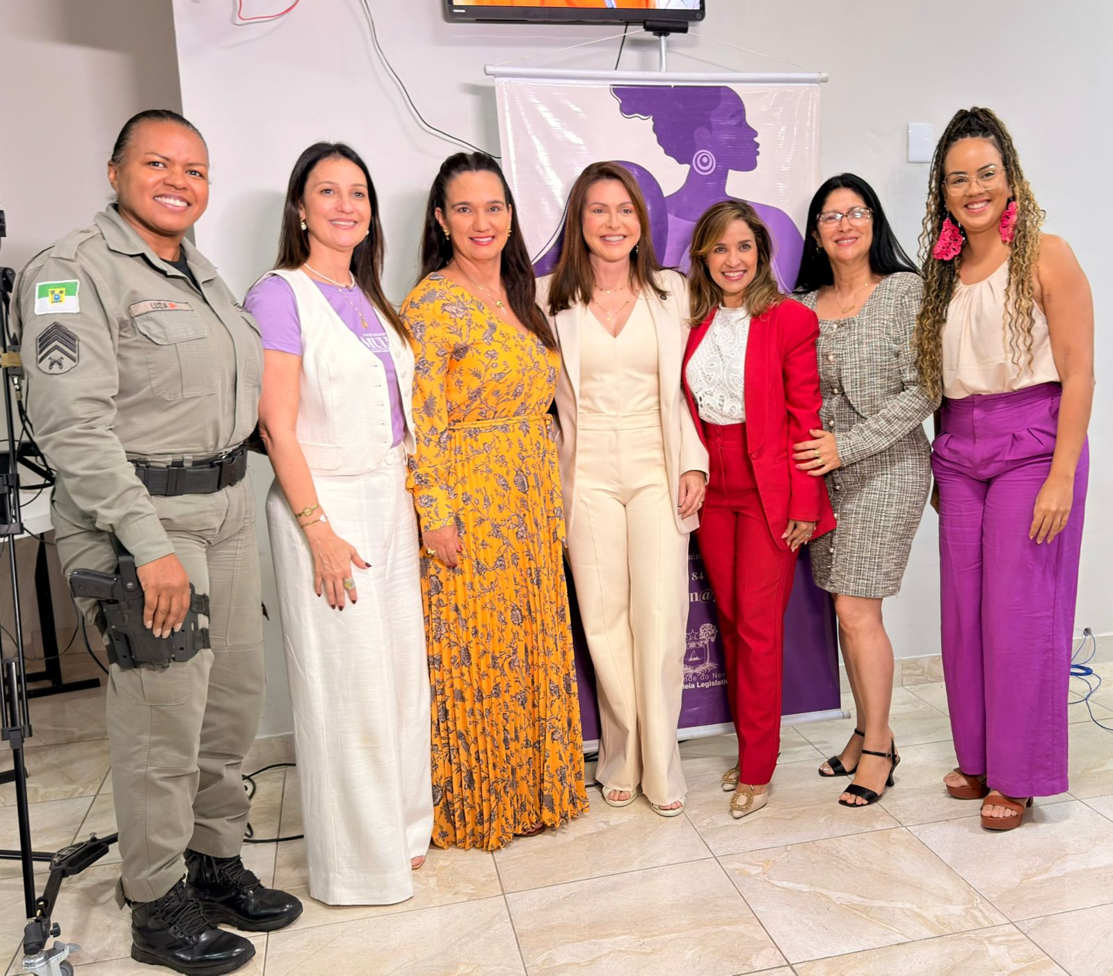 imagem de mulheres em pé lado a lado representando varios orgãos publicos (1)