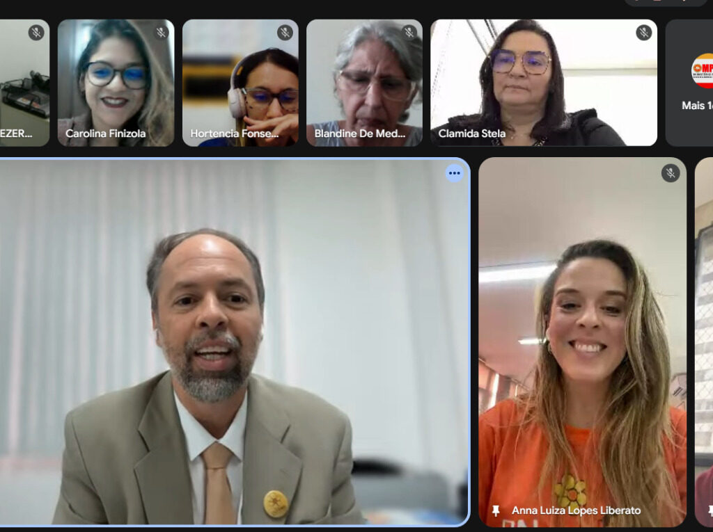 Print da reunião do google meet