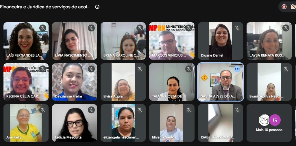 Registro daTela da reunião virtual
