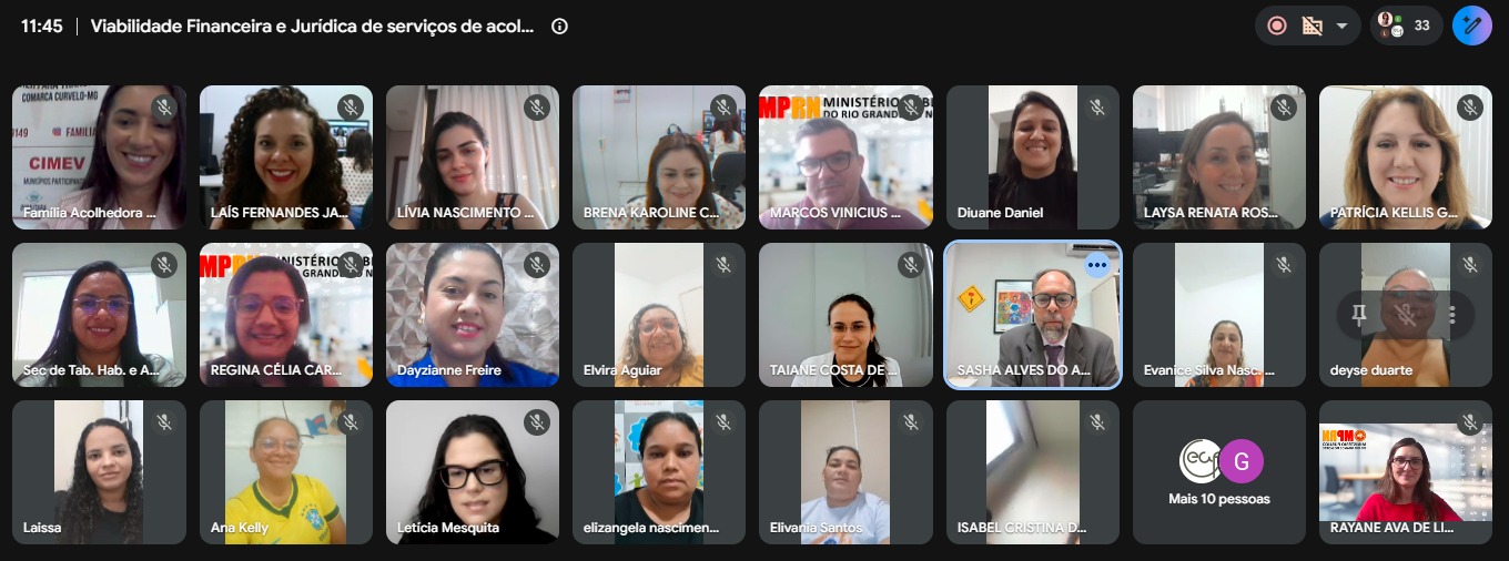 Registro daTela da reunião virtual