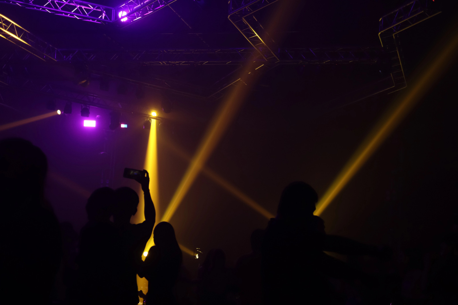 Silhuetas de pessoas em um show ou festa escura, iluminadas por feixes de luz coloridas
