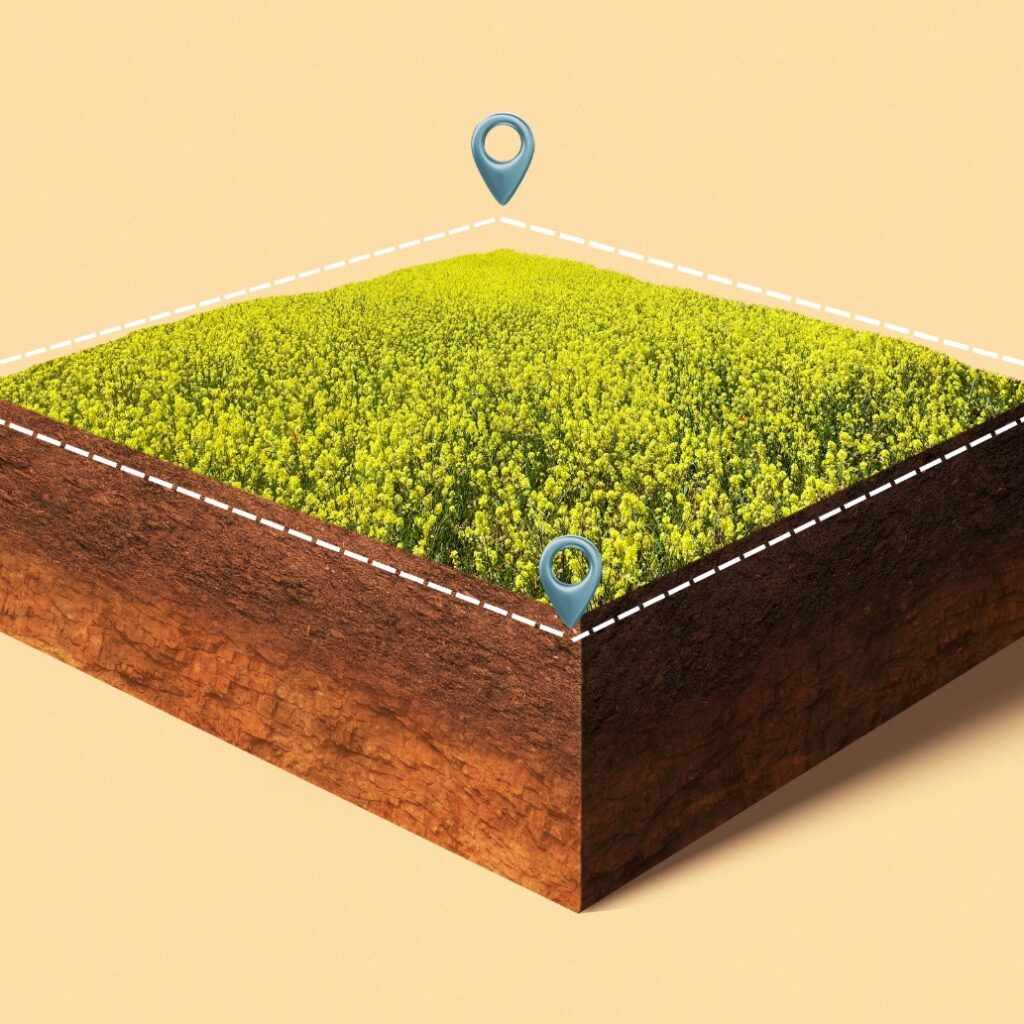 Ilustração tridimensional de um bloco retangular de terra coberto por vegetação amarela, demarcado em seus vértices por linhas tracejadas brancas e quatro ícones azuis de localização.