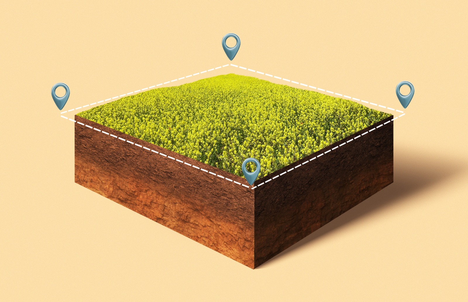 Ilustração tridimensional de um bloco retangular de terra coberto por vegetação amarela, demarcado em seus vértices por linhas tracejadas brancas e quatro ícones azuis de localização.