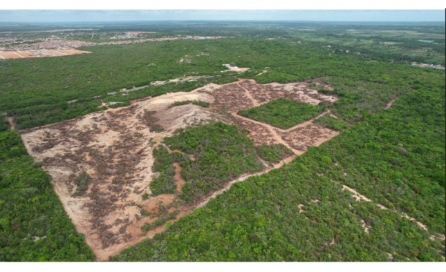 Vista aérea de uma vasta área de vegetação nativa verde com um trecho delimitado de terra desmatada e solo exposto no centro